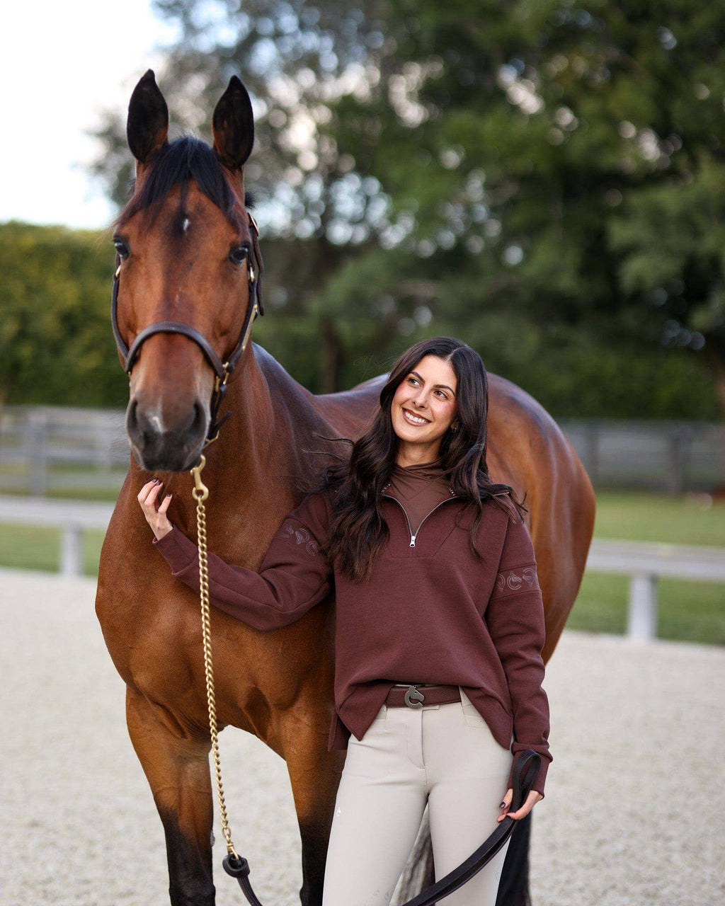 Criniere Life Claire Sweater | Mocha