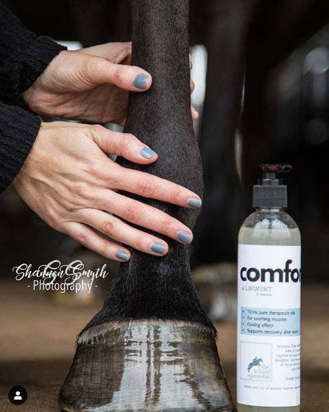 The Infused Equestrian Comfort. A Liniment (8 oz)