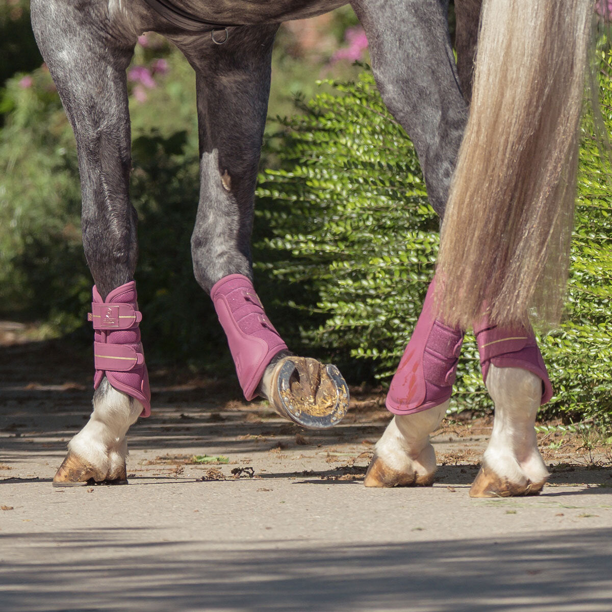 Eskadron Heritage '25 Mesh Boots