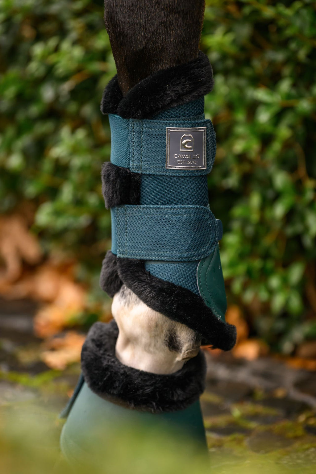 Cavallo Cavaljoca Brushing Boots