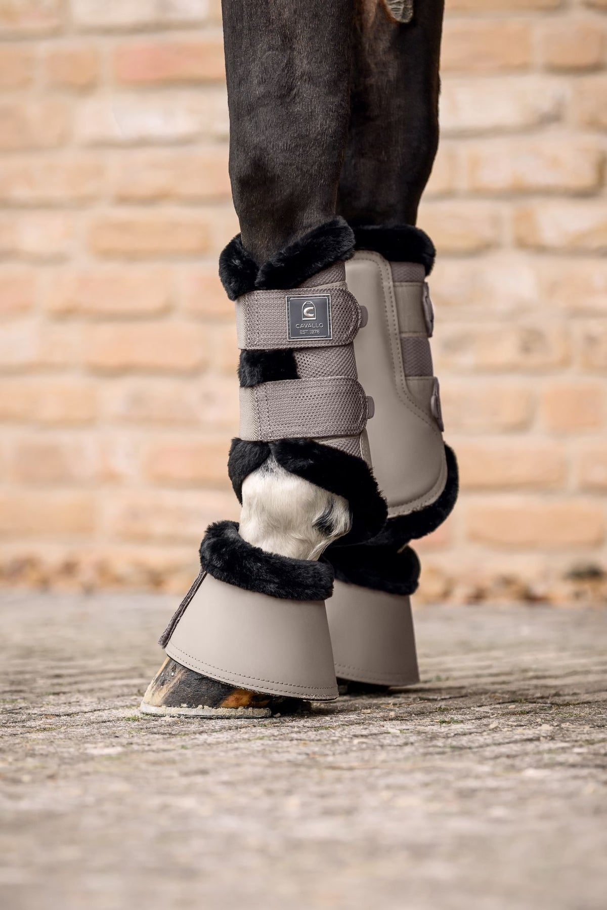 Cavallo Cavaljoca Brushing Boots