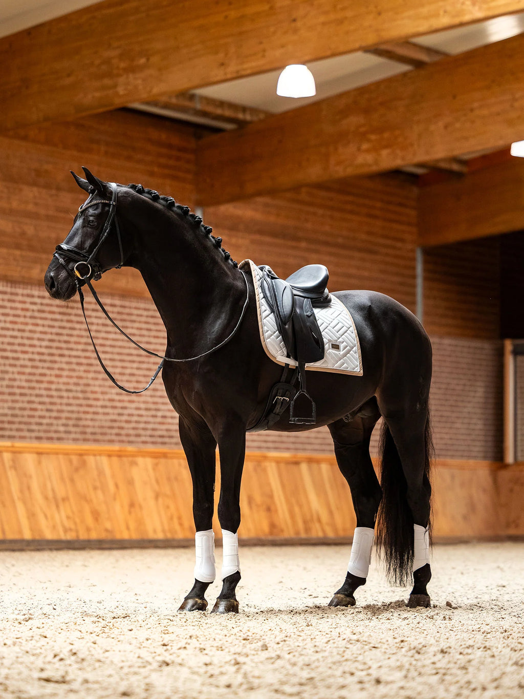 Equestrian Stockholm Dressage Pad Modern