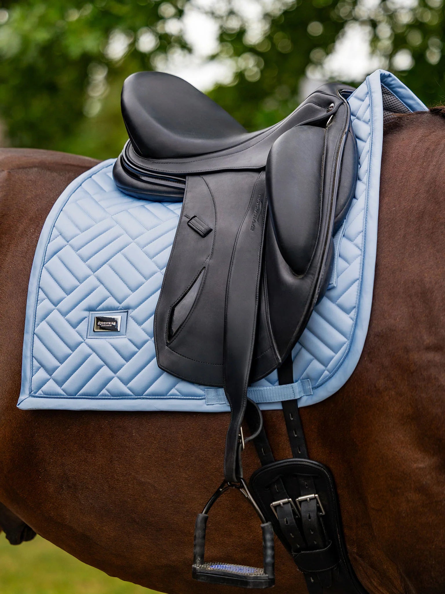 Equestrian Stockholm Dressage Pad Modern