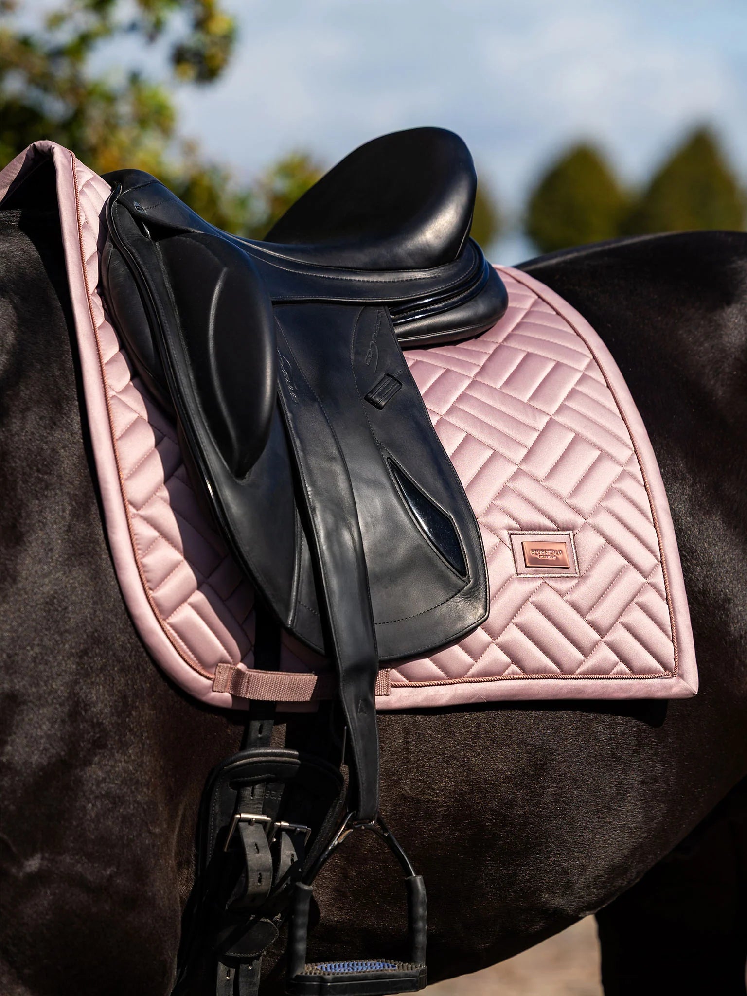 Equestrian Stockholm Dressage Pad Modern