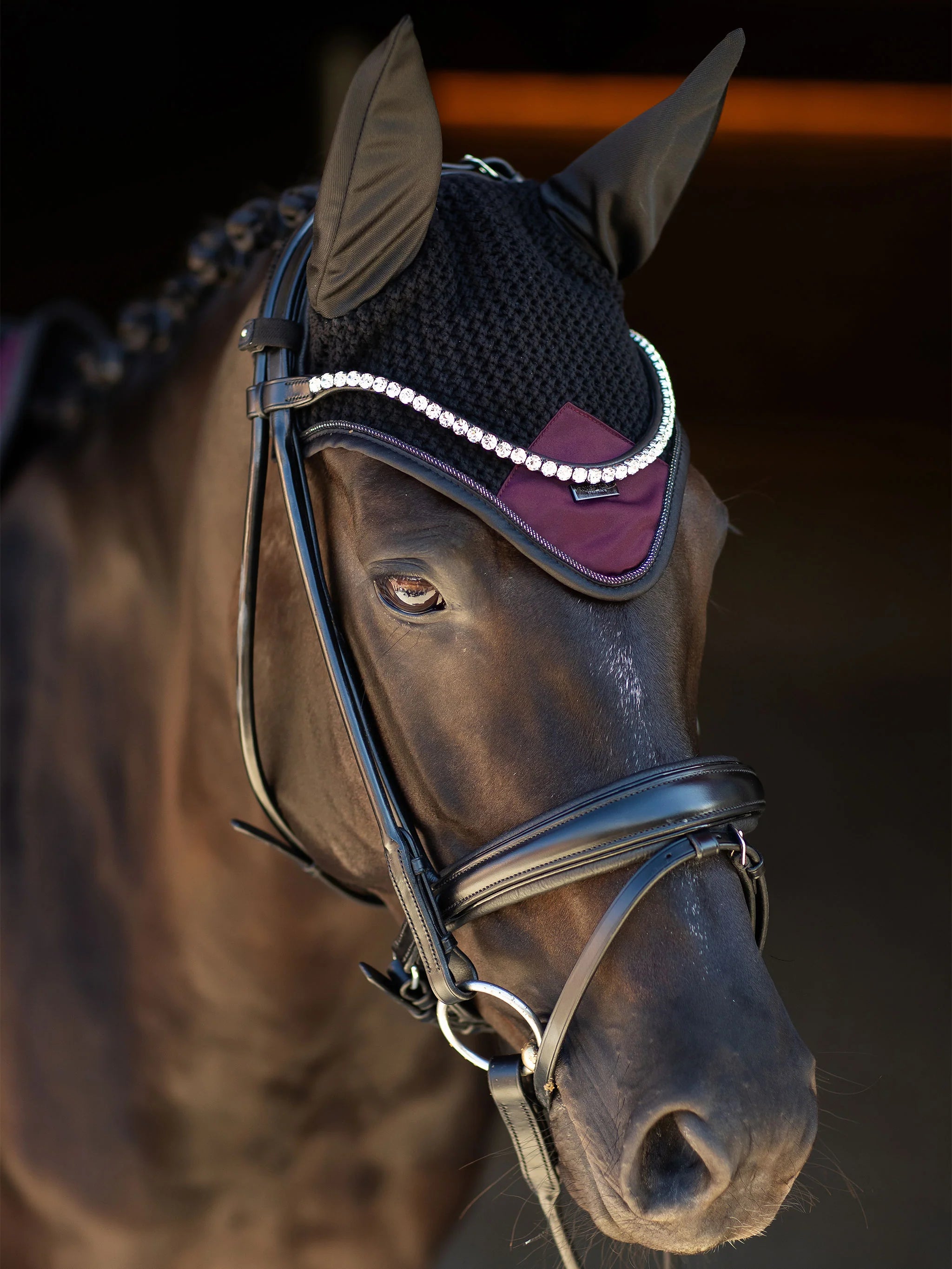 Equestrian Stockholm Bonnet Modern Purple Night