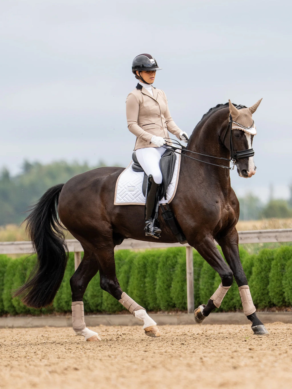 Equestrian Stockholm Dressage Pad Modern