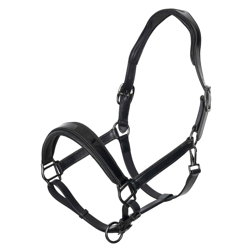 Imperial Riding Hera Leather Halter