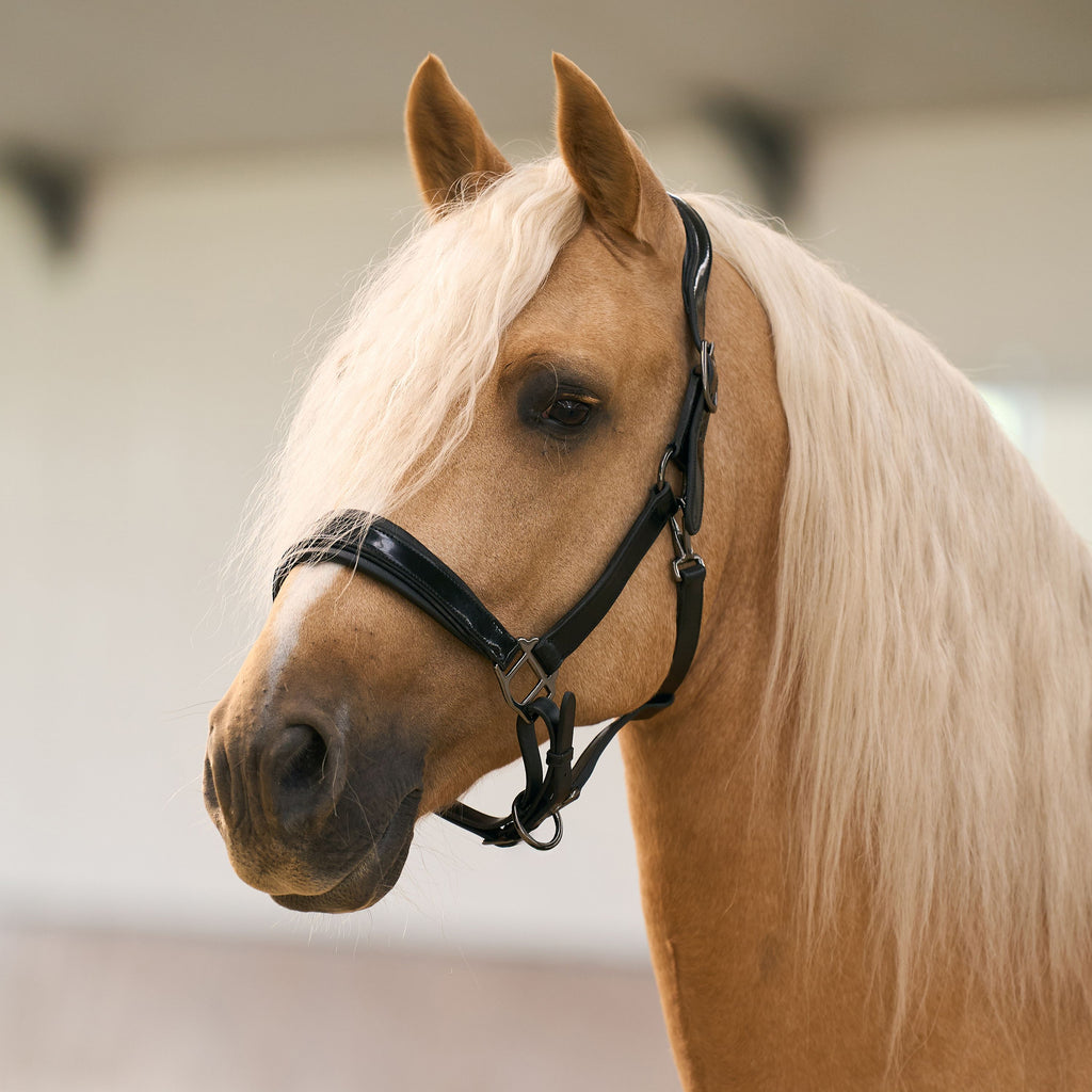 Imperial Riding Hera Leather Halter