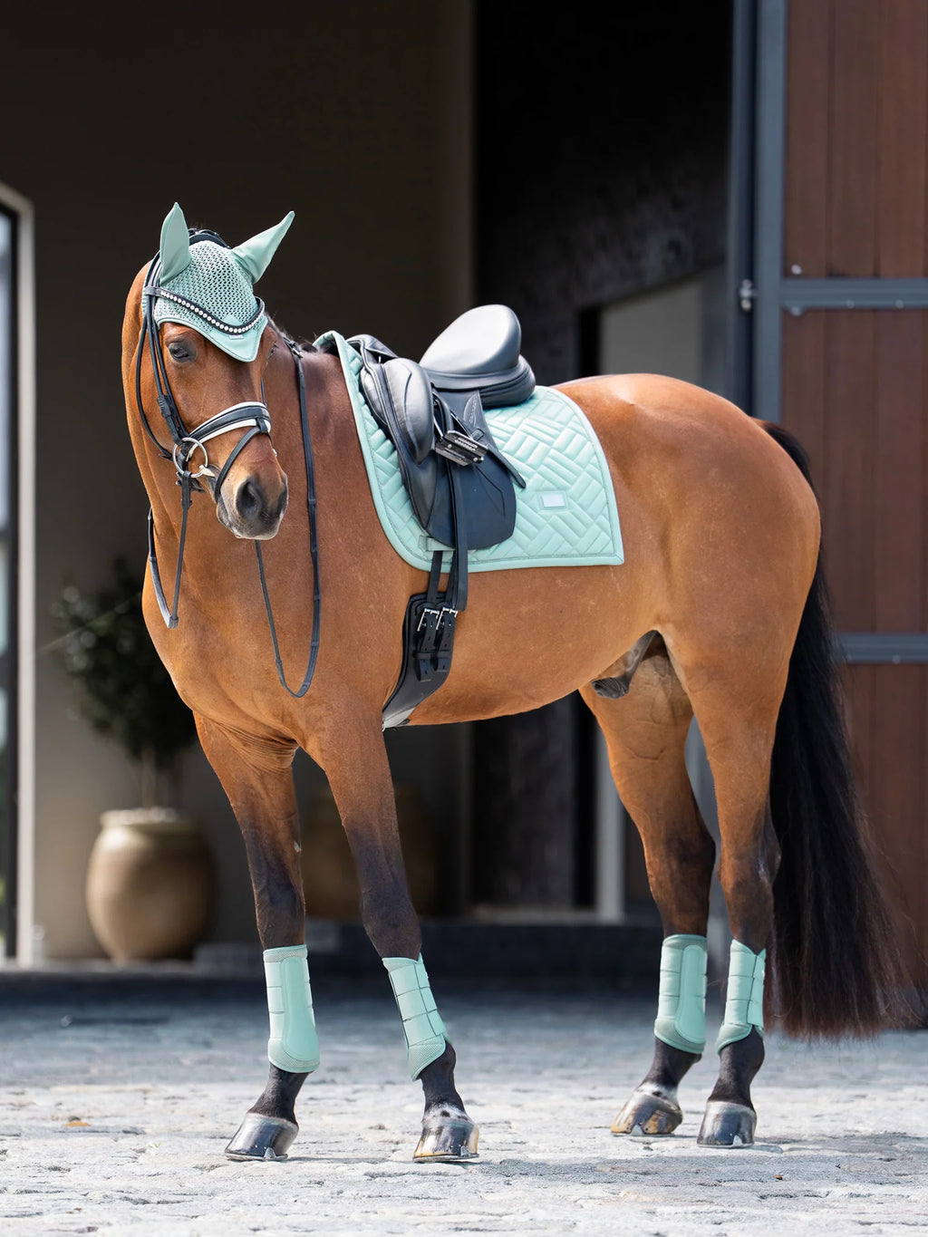 Equestrian Stockholm Dressage Pad Modern