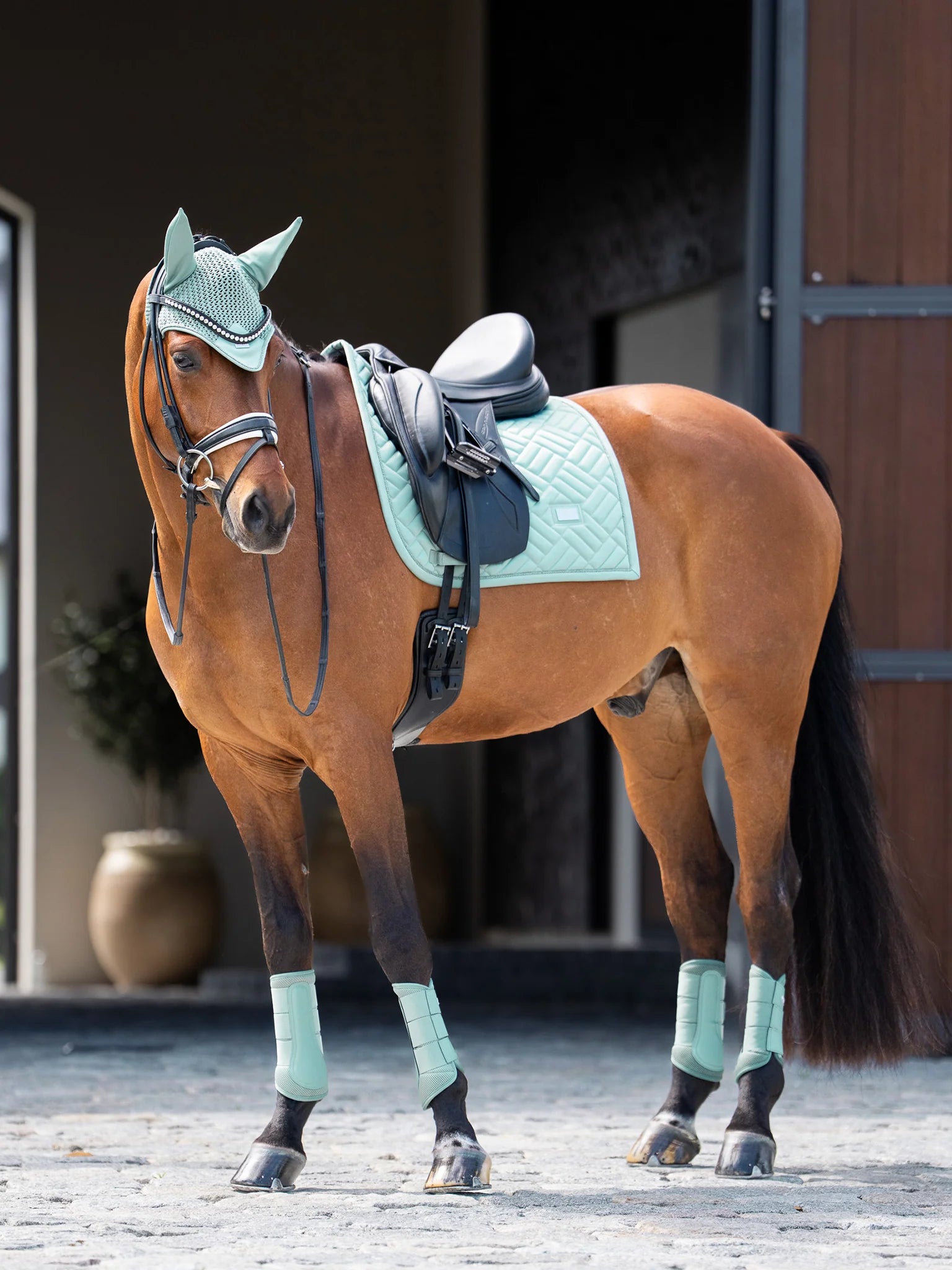 Equestrian Stockholm Dressage Pad Modern