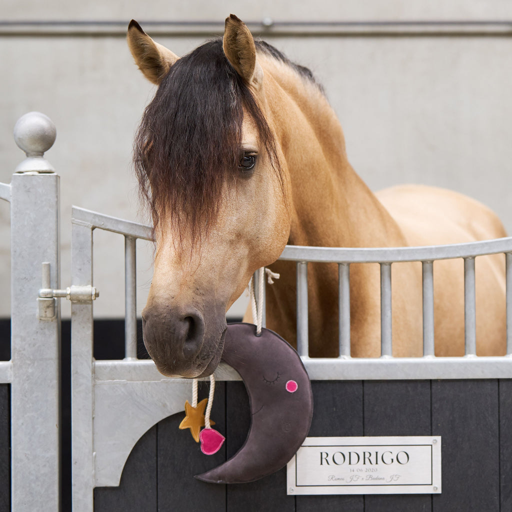 Imperial Riding Stall Toy Moony
