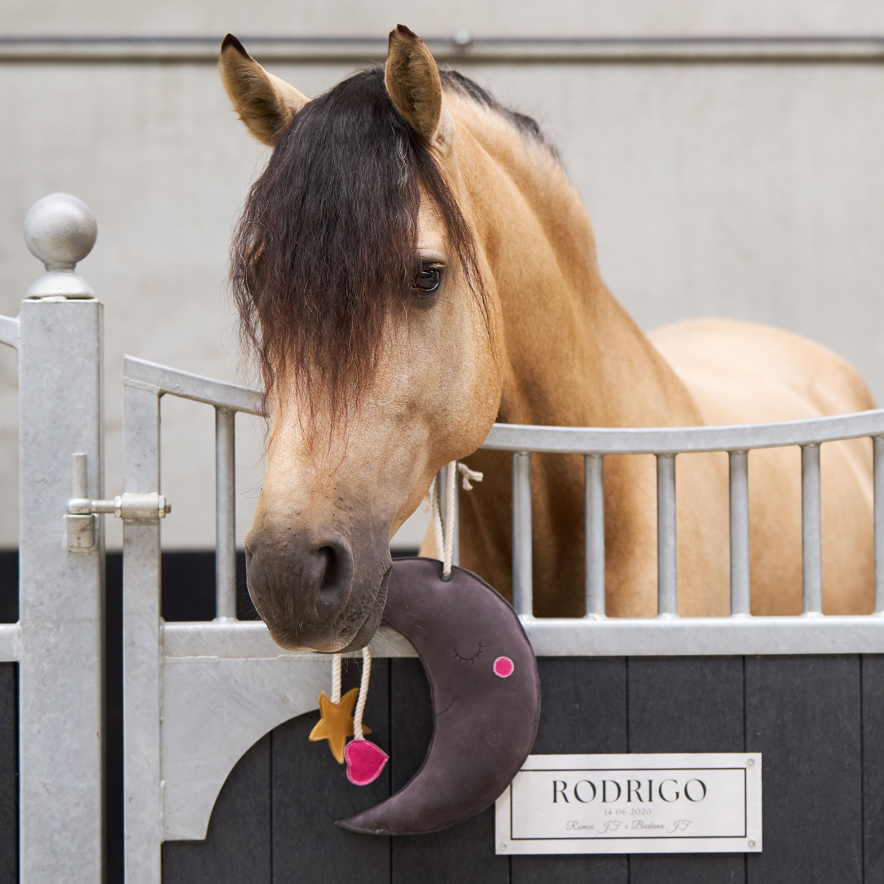 Imperial Riding Stall Toy Moony
