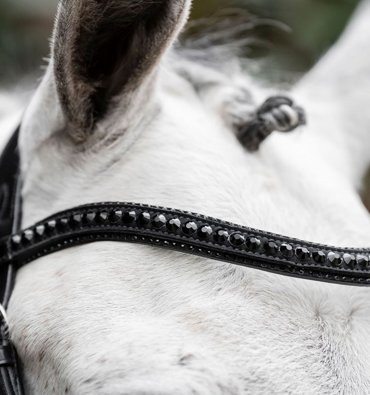 Horseware Diamante Bridle