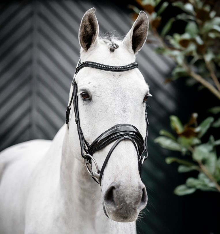 Horseware Diamante Bridle