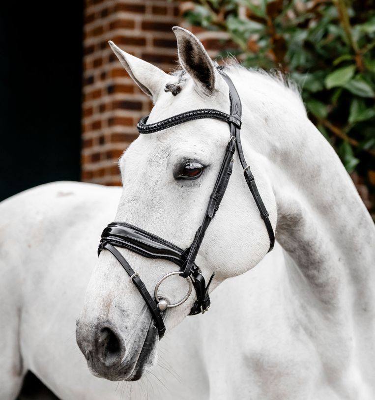Horseware Diamante Bridle