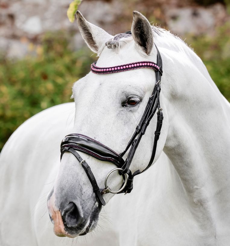 Horseware Diamante Bridle