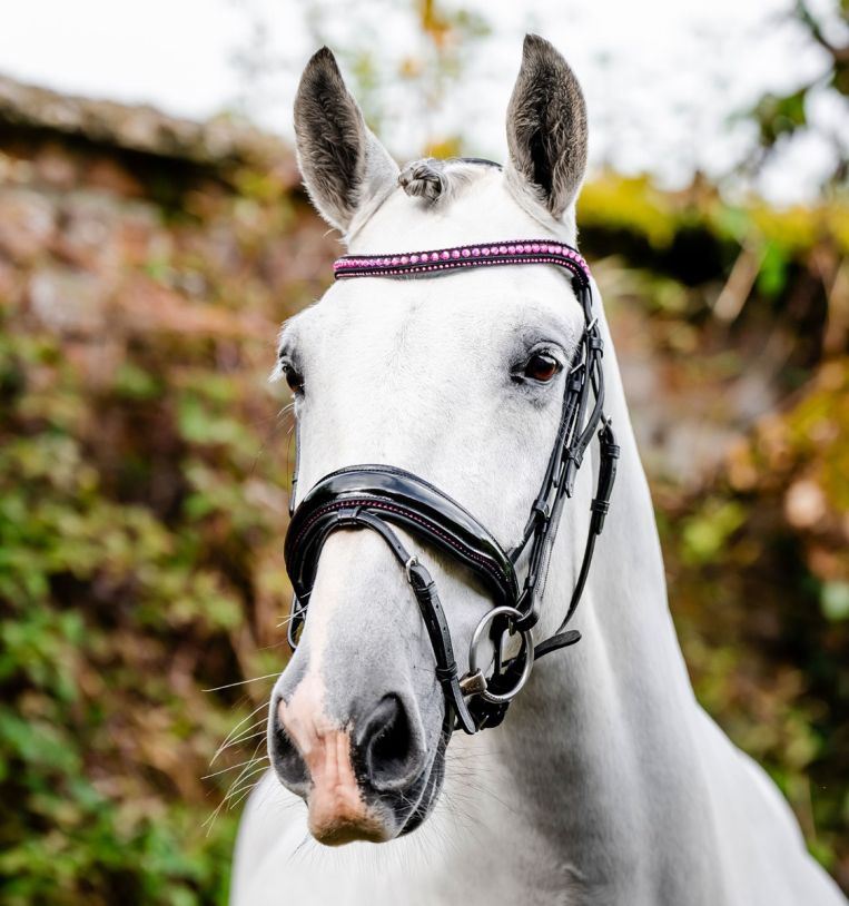 Horseware Diamante Bridle