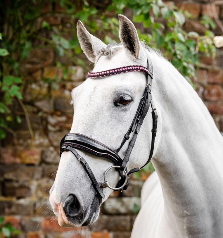 Horseware Diamante Bridle